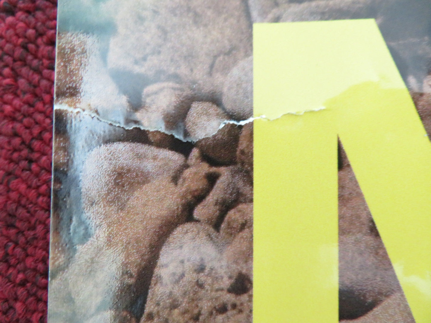 HOT MILK UK QUAD ROLLED POSTER EMMA MACKEY FIONA SHAW 2025 Movie posters