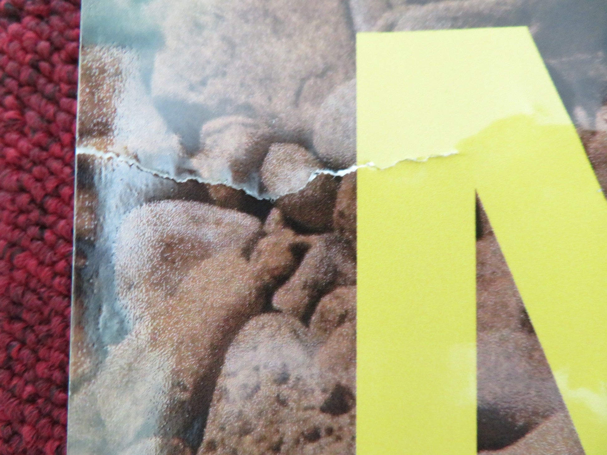 HOT MILK UK QUAD ROLLED POSTER EMMA MACKEY FIONA SHAW 2025 Movie posters