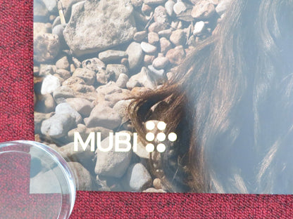 HOT MILK UK QUAD ROLLED POSTER EMMA MACKEY FIONA SHAW 2025 Movie posters