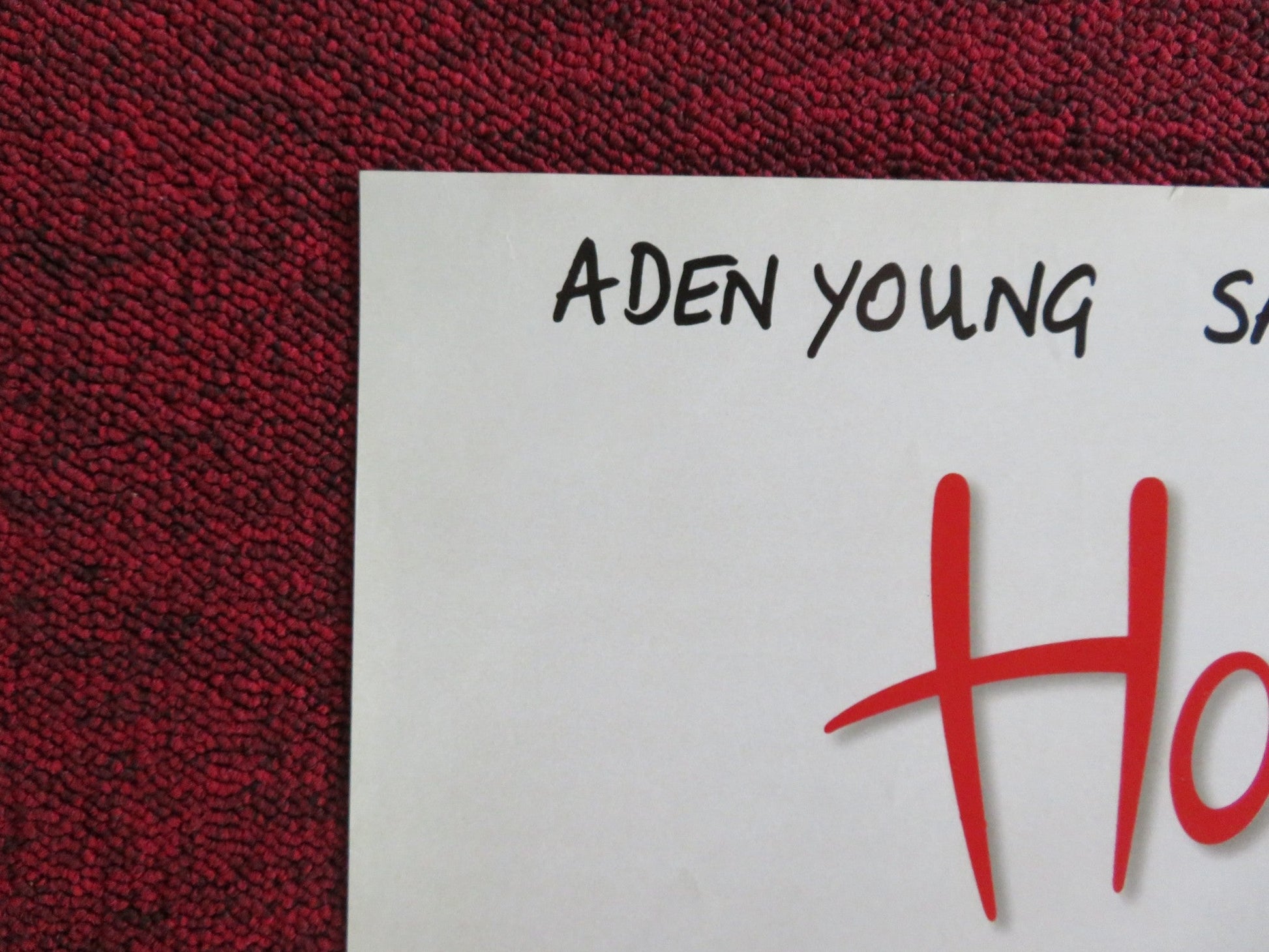 HOTEL DE LOVE VHS VIDEO POSTER ADEN YOUNG SAFFRON BURROWS 1996 Rendezvous Cinema Movie posters