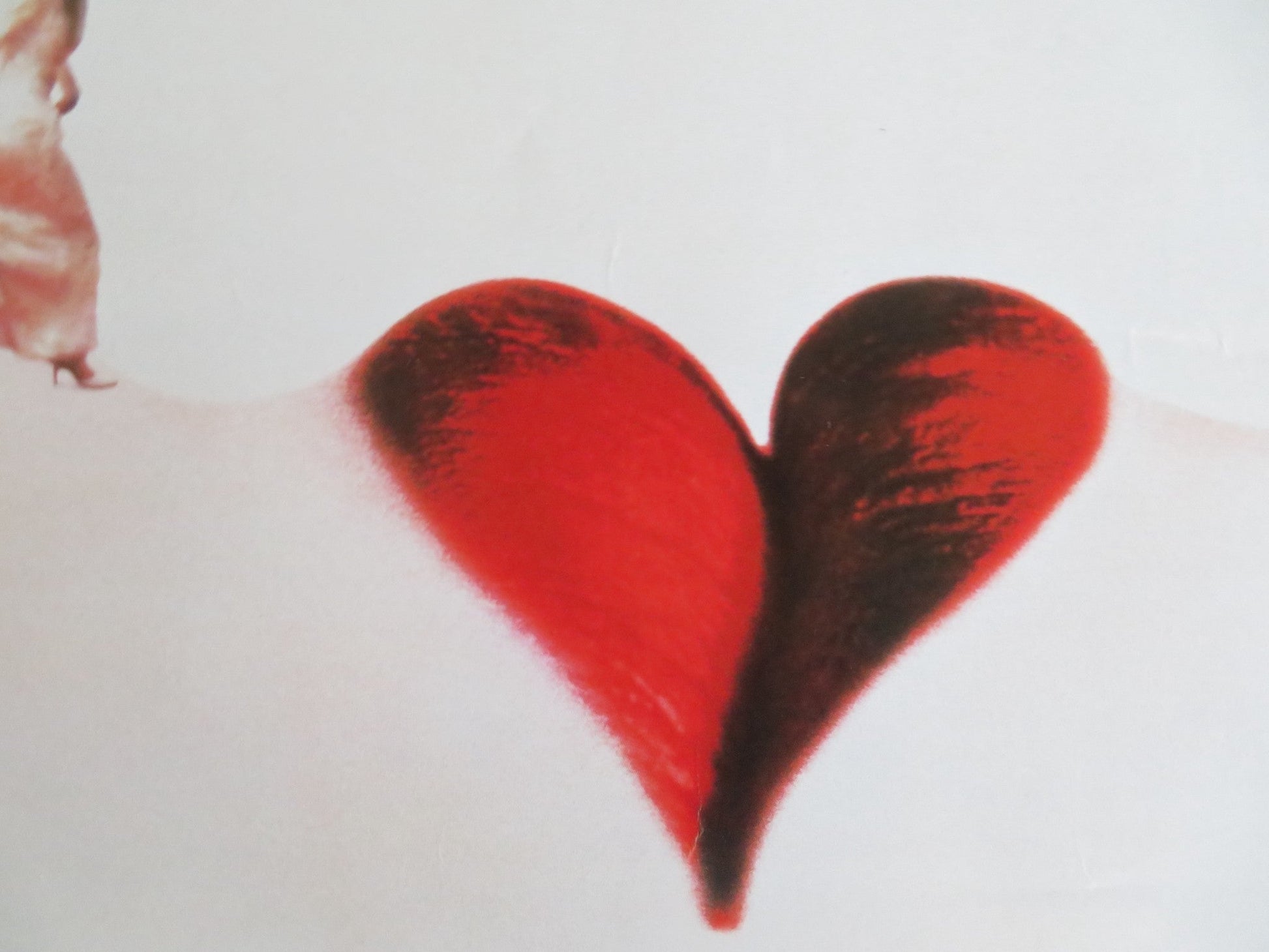 HOTEL DE LOVE VHS VIDEO POSTER ADEN YOUNG SAFFRON BURROWS 1996 Rendezvous Cinema Movie posters