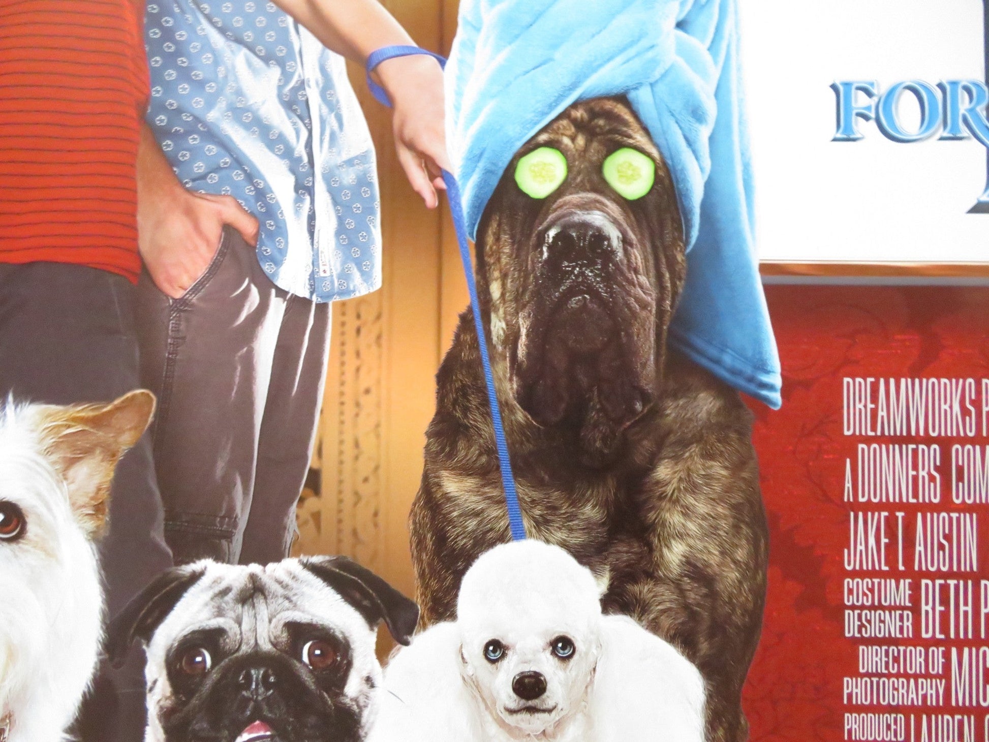 HOTEL FOR DOGS UK QUAD ROLLED POSTER EMMA ROBERTS DON CHEADLE 2009 Rendezvous Cinema Movie posters