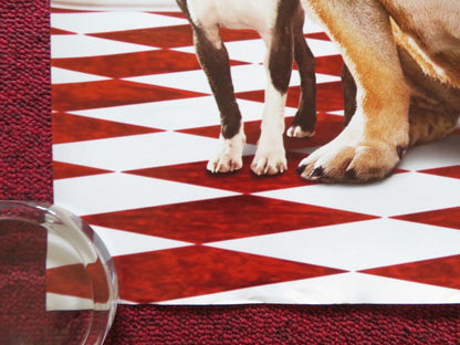 HOTEL FOR DOGS UK QUAD ROLLED POSTER EMMA ROBERTS DON CHEADLE 2009 Rendezvous Cinema Movie posters