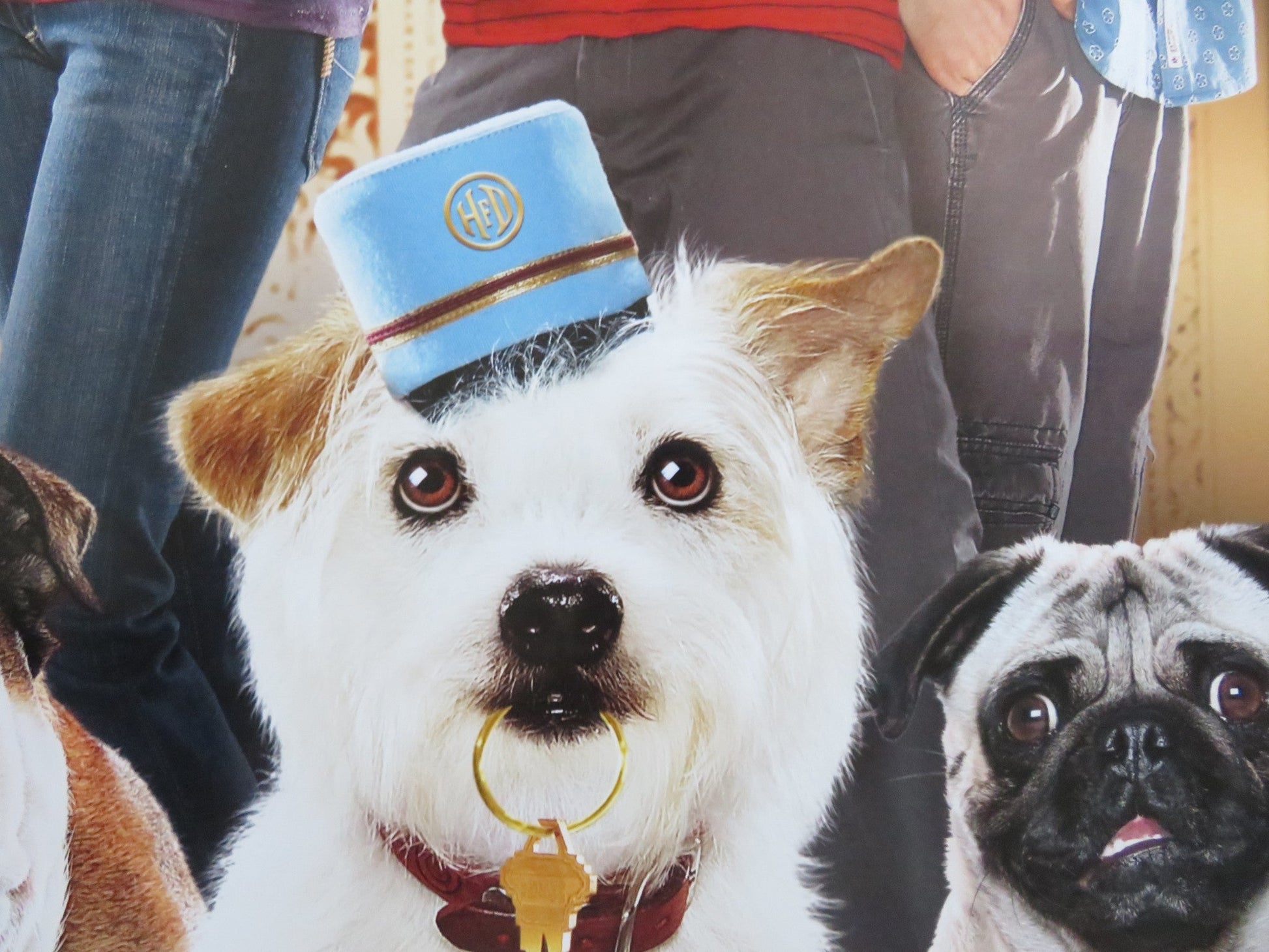 HOTEL FOR DOGS US ONE SHEET ROLLED POSTER EMMA ROBERTS LISA KUDROW 2009 Rendezvous Cinema Movie posters