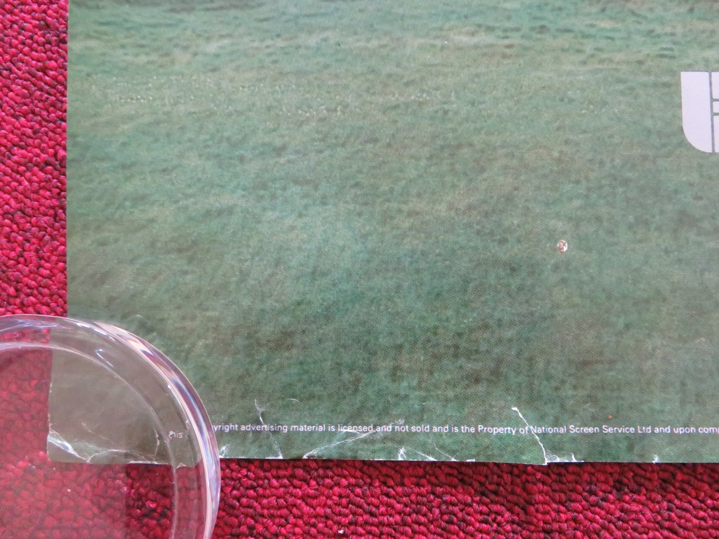 HOUSESITTER UK QUAD ROLLED POSTER STEVE MARTIN GOLDIE HAWN 1992 Rendezvous Cinema Movie posters