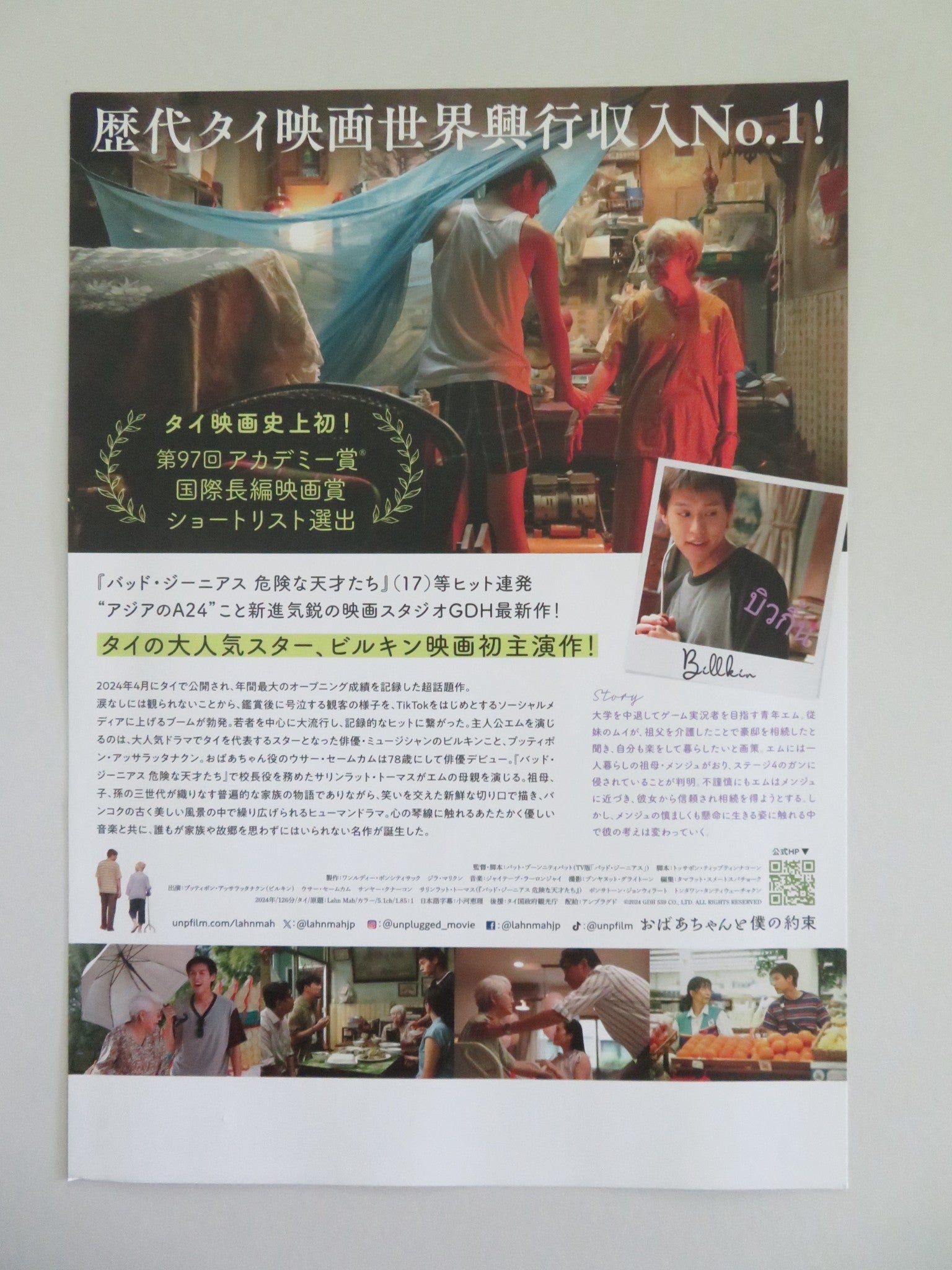 HOW TO MAKE MILLIONS BEFORE GRANDMA DIES JAPANESE CHIRASHI (B5) POSTER 2024 Movie posters