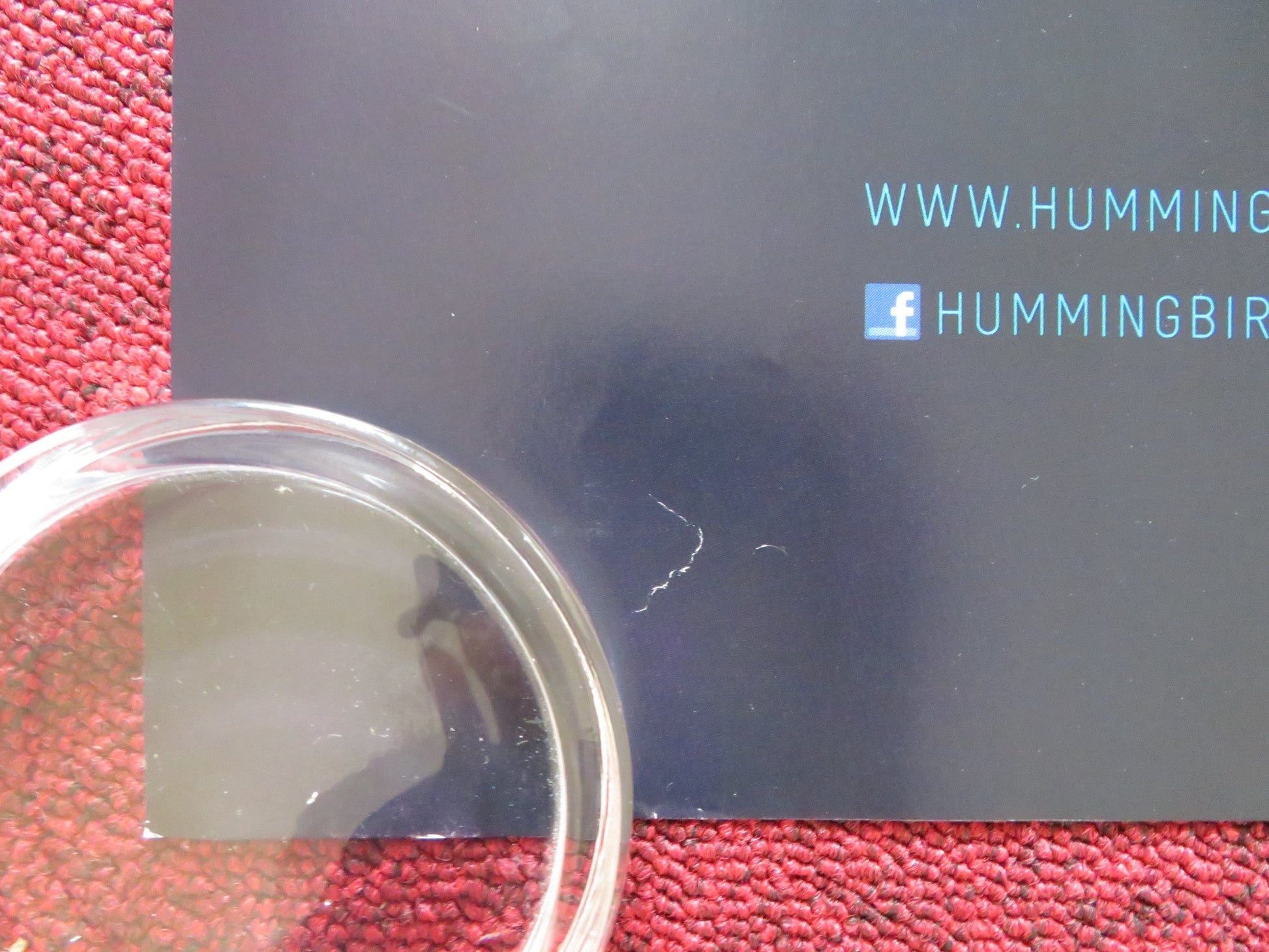 HUMMINGBIRD UK QUAD ROLLED POSTER JASON STATHAM AGATA BUZEK 2013 Rendezvous Cinema Movie posters