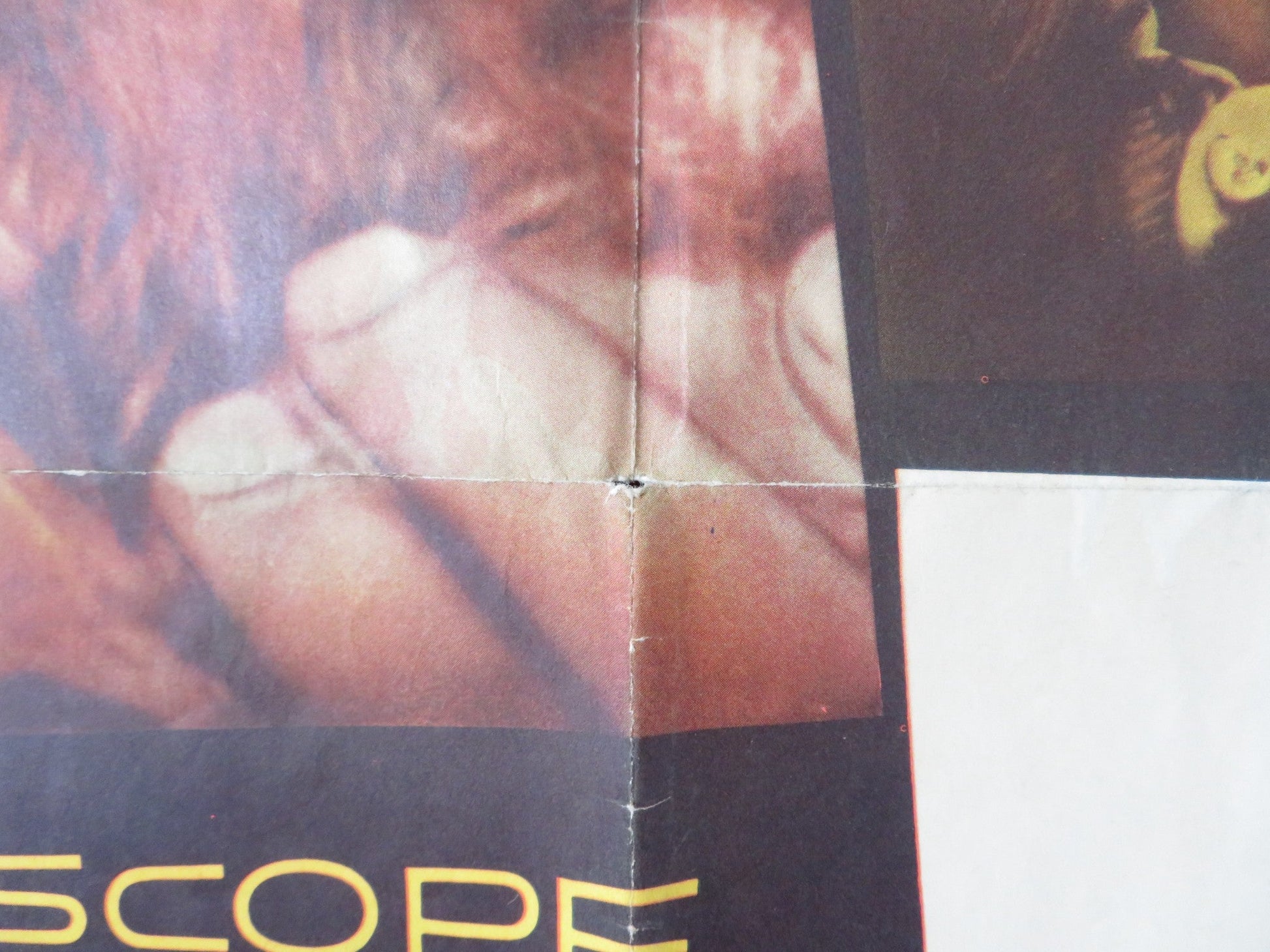 I DIED A THOUSAND TIMES FOLDED US ONE SHEET POSTER JACK PALANCE S. WINTERS 1955 Rendezvous Cinema Movie posters