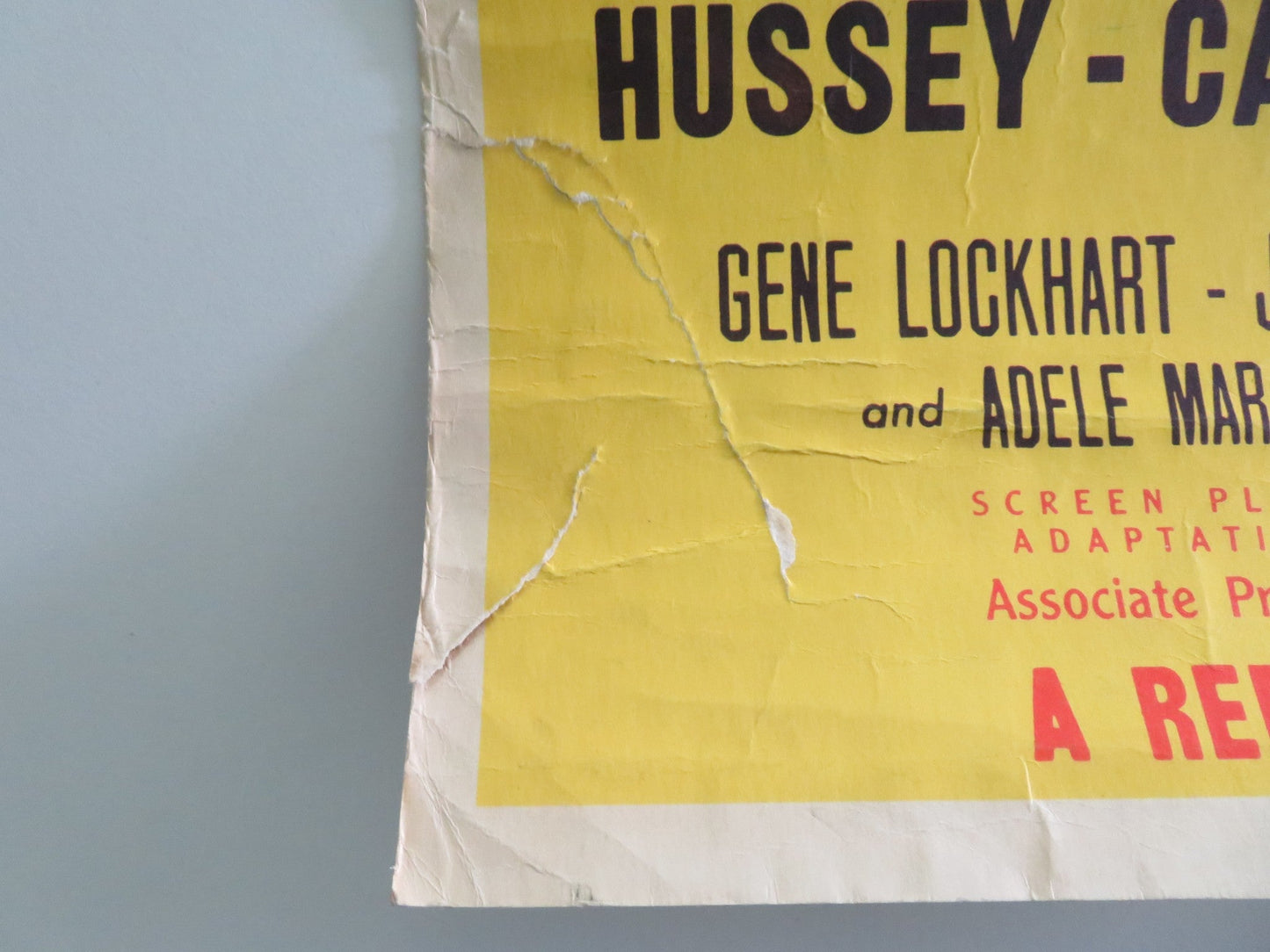 I, Jane Doe US Insert Poster Ruth Hussey John Carroll 1948 Movie posters