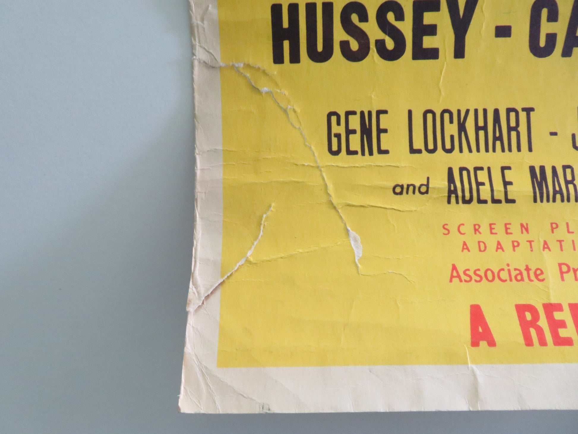 I, Jane Doe US Insert Poster Ruth Hussey John Carroll 1948 Movie posters