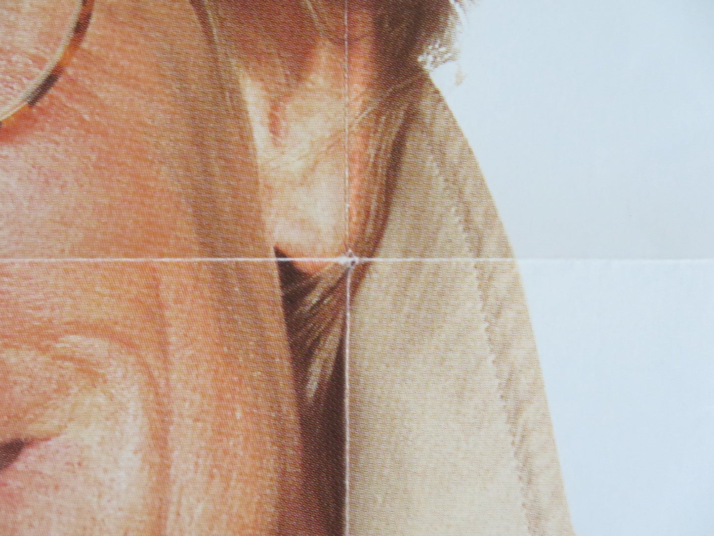 I LOVE TROUBLE FRENCH POSTER ROLLED NICK NOLTE JULIA ROBERTS 1994 Rendezvous Cinema Movie posters