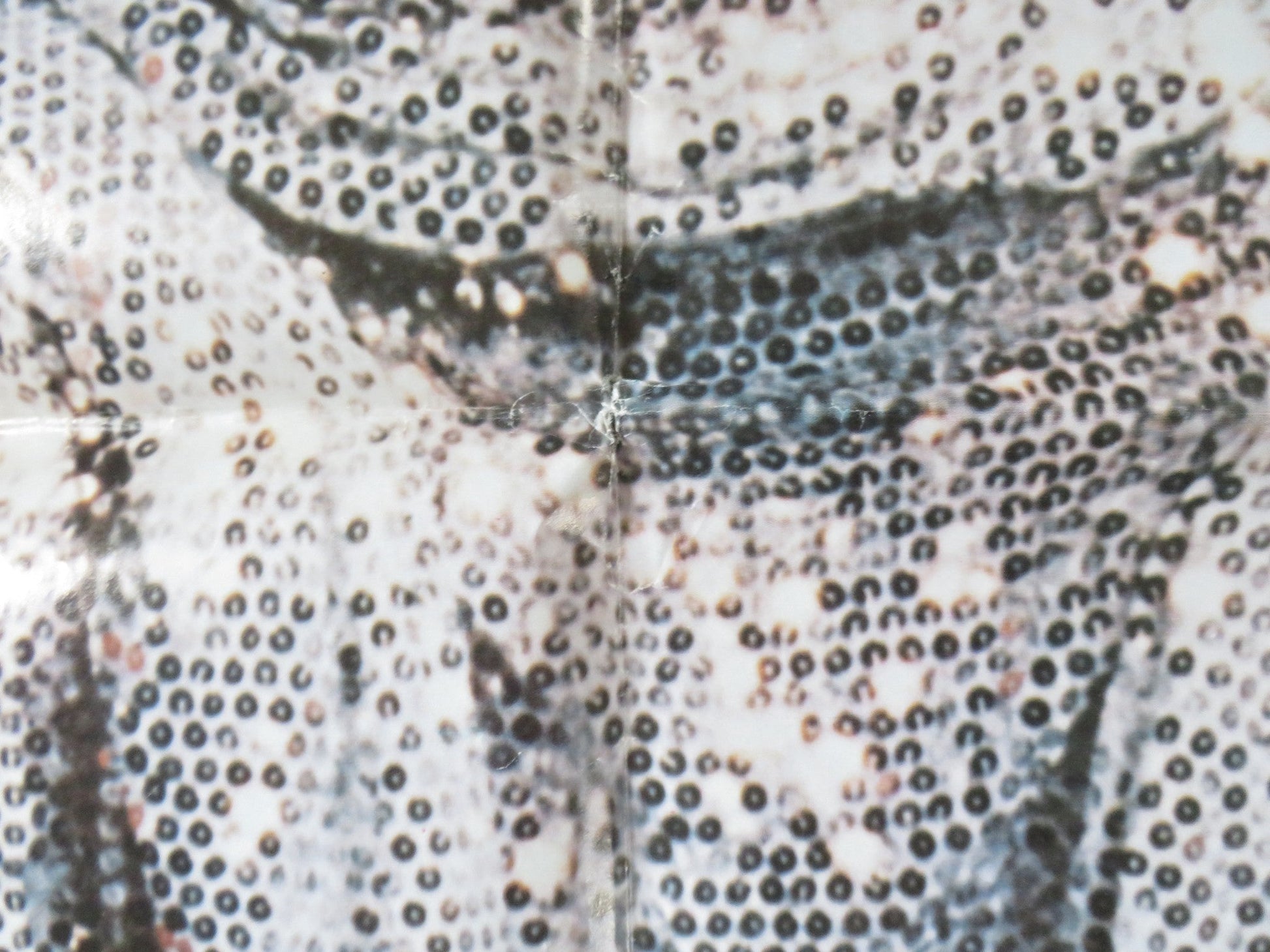 I LOVE YOU FOLDED US ONE SHEET POSTER SONIA BRAGA PAULO CESAR PEREIO 1982 Rendezvous Cinema Movie posters