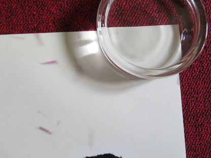 I NOW PRONOUNCE YOU CHUCK & LARRY - B US ONE SHEET ROLLED POSTER SANDLER 2007 Rendezvous Cinema Movie posters