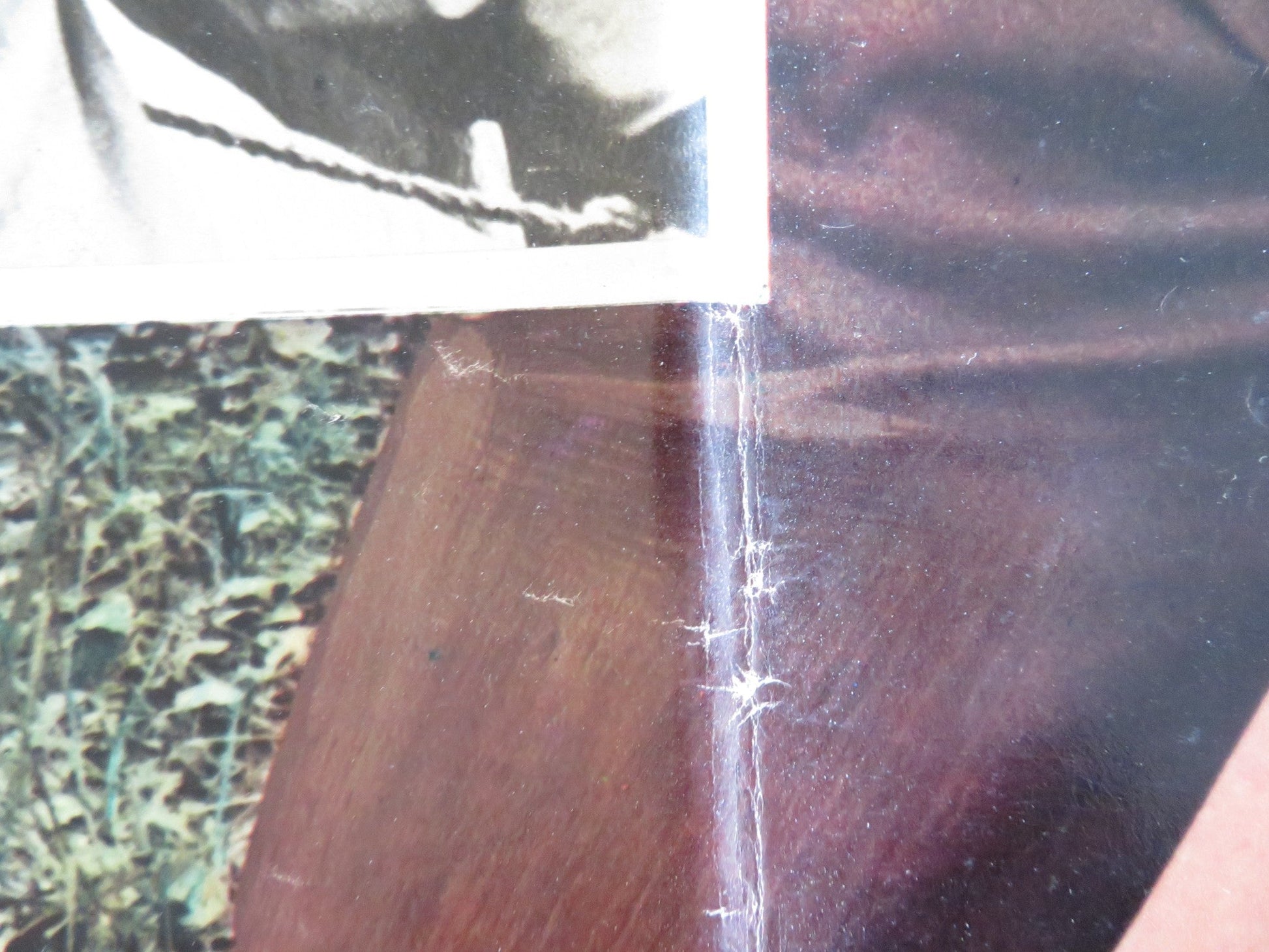 I WALK THE LINE - E ITALIAN FOTOBUSTA POSTER GREGORY PECK TUESDAY WELD 1971 Rendezvous Cinema Movie posters