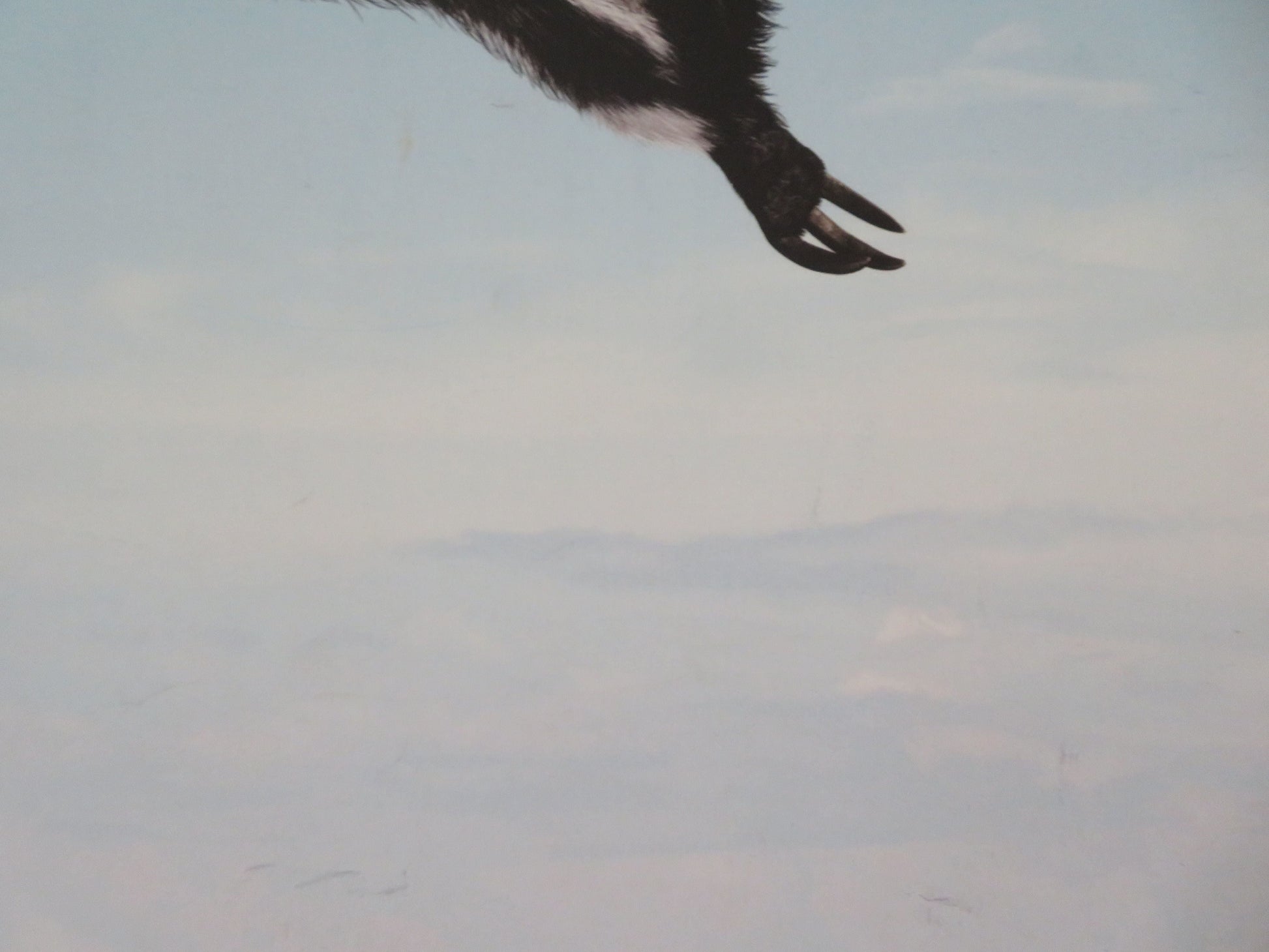 Ice Age 4: Continental Drift - B UK Quad Rolled Poster Nick Frost Josh Gad 2012 Movie posters