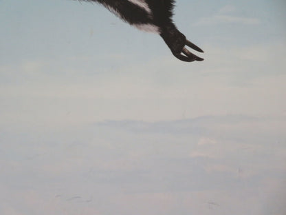 Ice Age 4: Continental Drift - B UK Quad Rolled Poster Nick Frost Josh Gad 2012 Movie posters