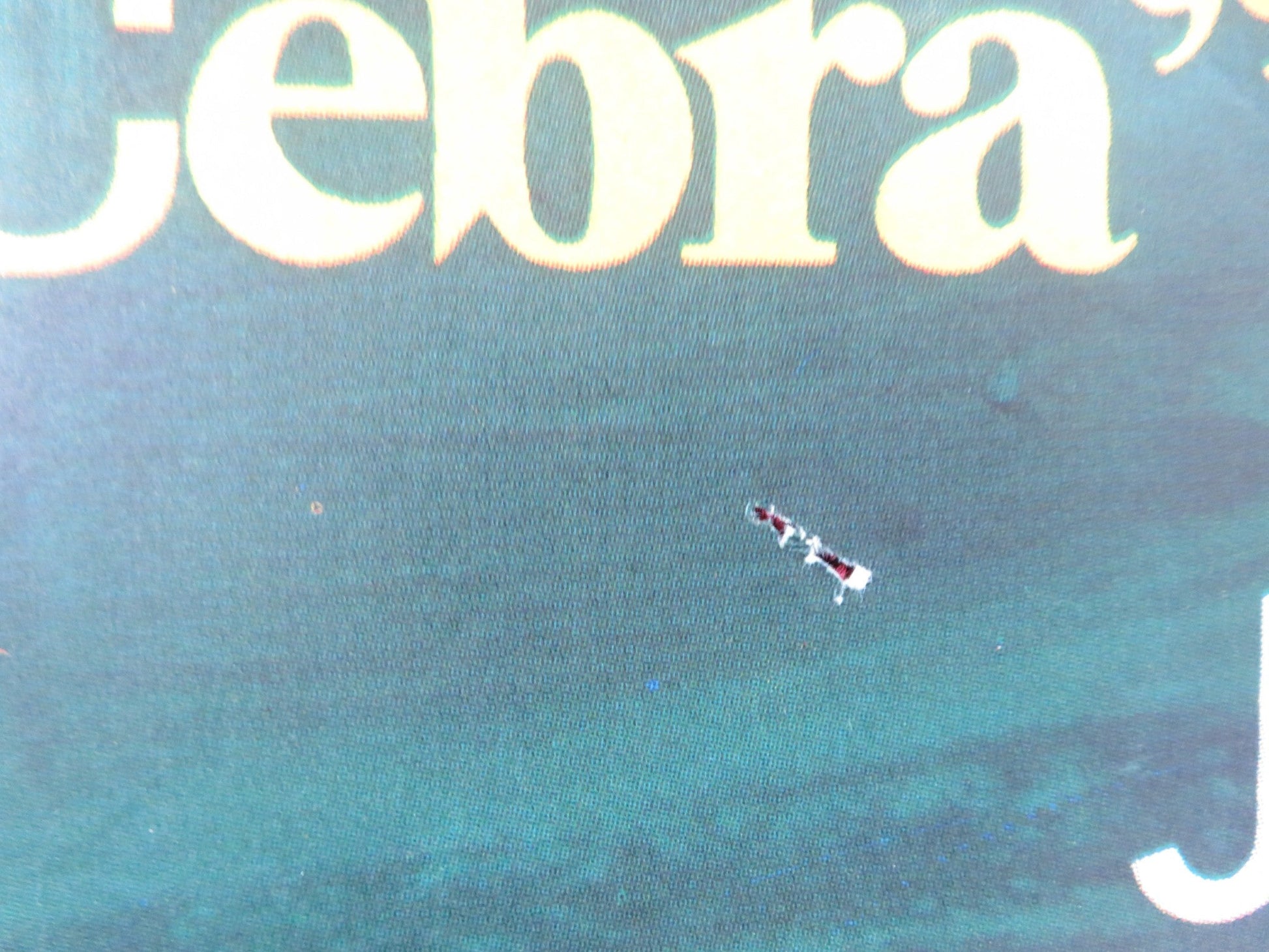 ICE STATION ZEBRA SPANISH POSTER ROCK HUDSON ERNEST BORGNINE 1968 Rendezvous Cinema Movie posters