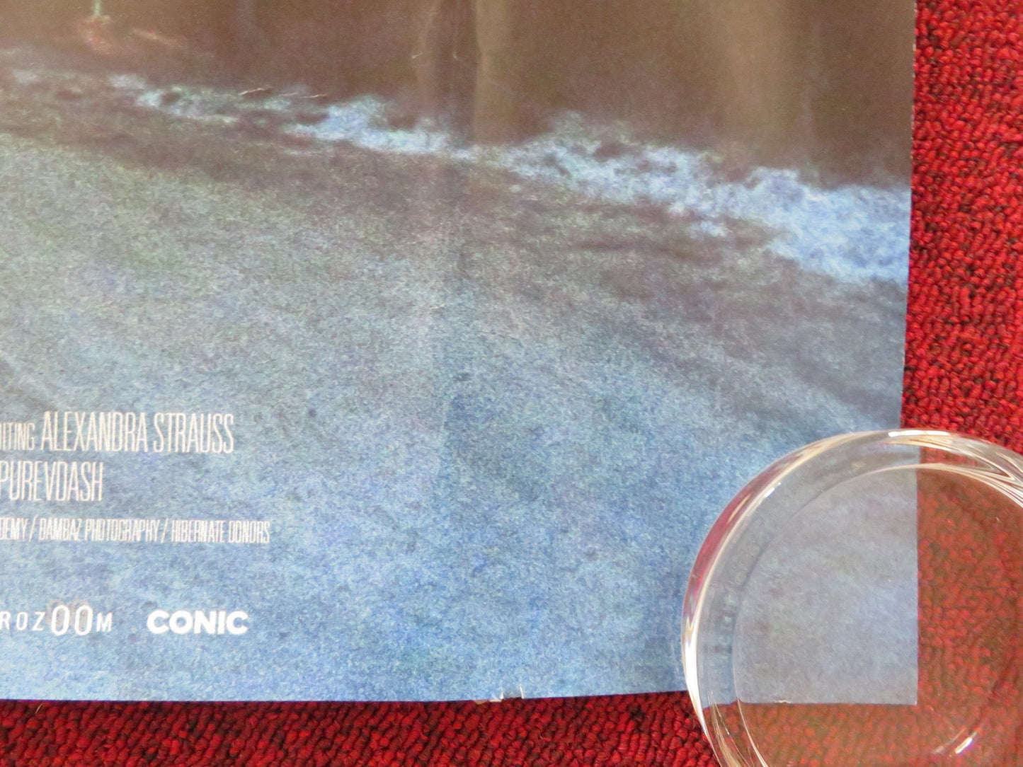 IF ONLY I COULD HIBERNATE UK QUAD ROLLED POSTER TAIVANBAT ALEXANDAR 2023 Rendezvous Cinema Movie posters