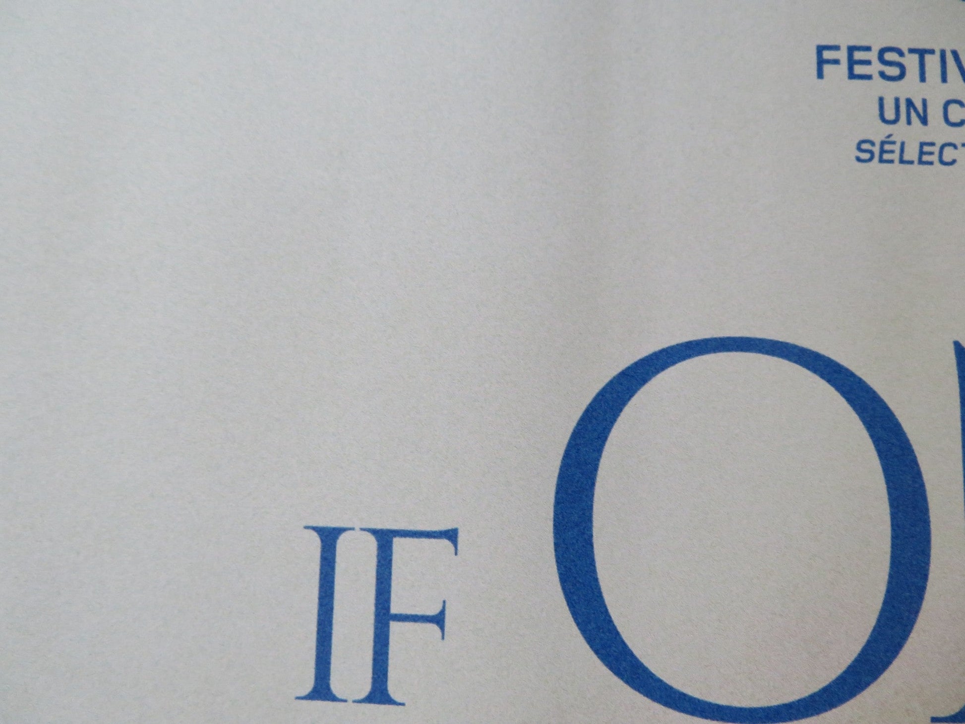 IF ONLY I COULD HIBERNATE UK QUAD ROLLED POSTER TAIVANBAT ALEXANDAR 2023 Rendezvous Cinema Movie posters