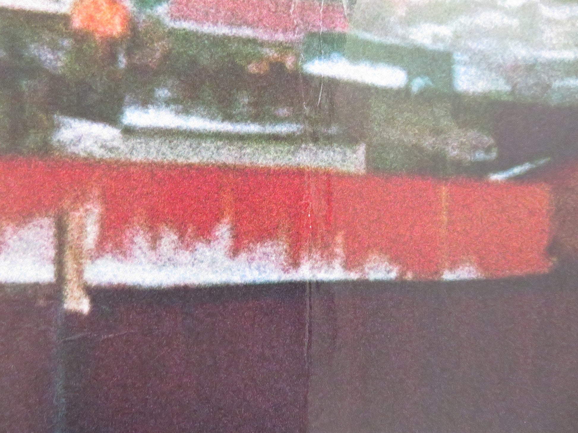 IF ONLY I COULD HIBERNATE UK QUAD ROLLED POSTER TAIVANBAT ALEXANDAR 2023 Rendezvous Cinema Movie posters