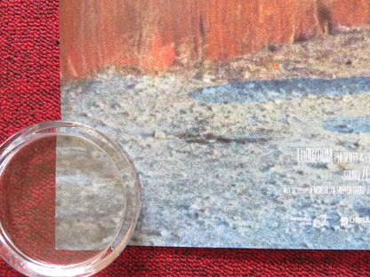 IF ONLY I COULD HIBERNATE UK QUAD ROLLED POSTER TAIVANBAT ALEXANDAR 2023 Rendezvous Cinema Movie posters