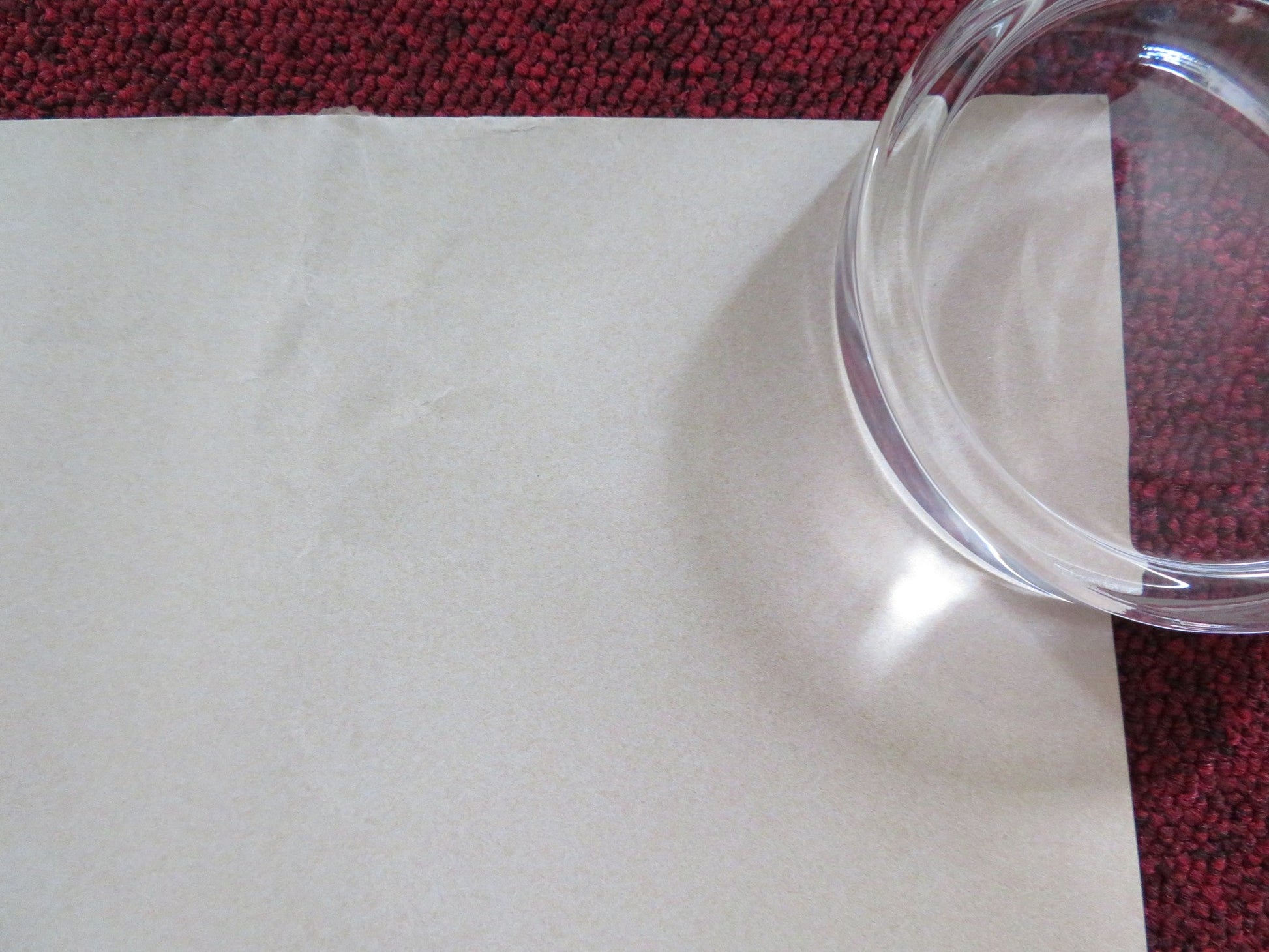 IF ONLY I COULD HIBERNATE UK QUAD ROLLED POSTER TAIVANBAT ALEXANDAR 2023 Rendezvous Cinema Movie posters