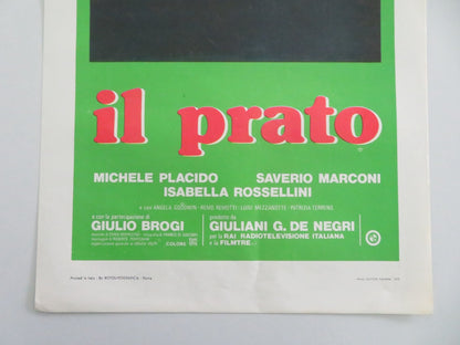 Il Prato Italian Locandina Poster Michele Placido Saverio Marconi 1979 Movie posters