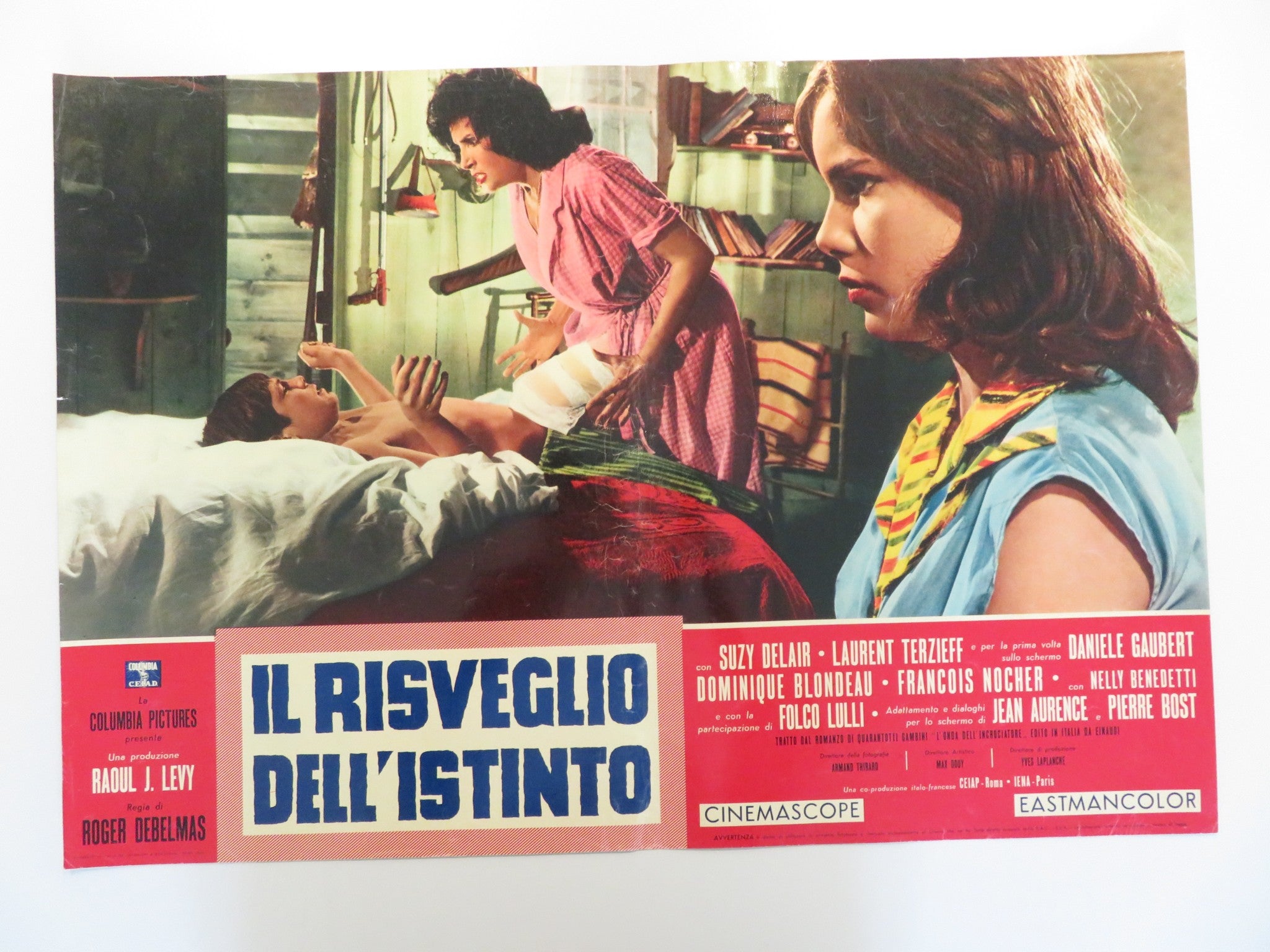 IL RISVEGLIO DELL'ISTINTO - C ITALIAN FOTOBUSTA POSTER SUY DELAIR TERZ ...