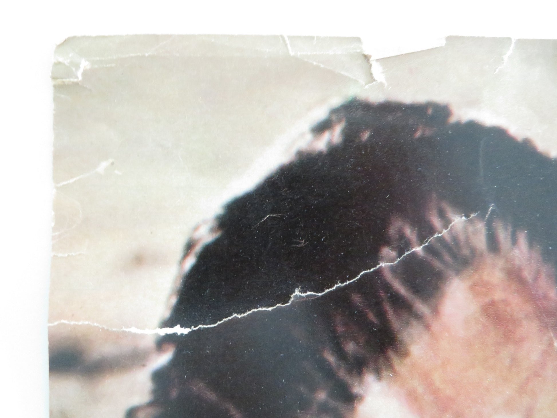 TARZAN'S THREE CHALLENGES ITALIAN FOTOBUSTA POSTER J. MAHONEY WOODY STRODE 1963 - Rendezvous Cinema