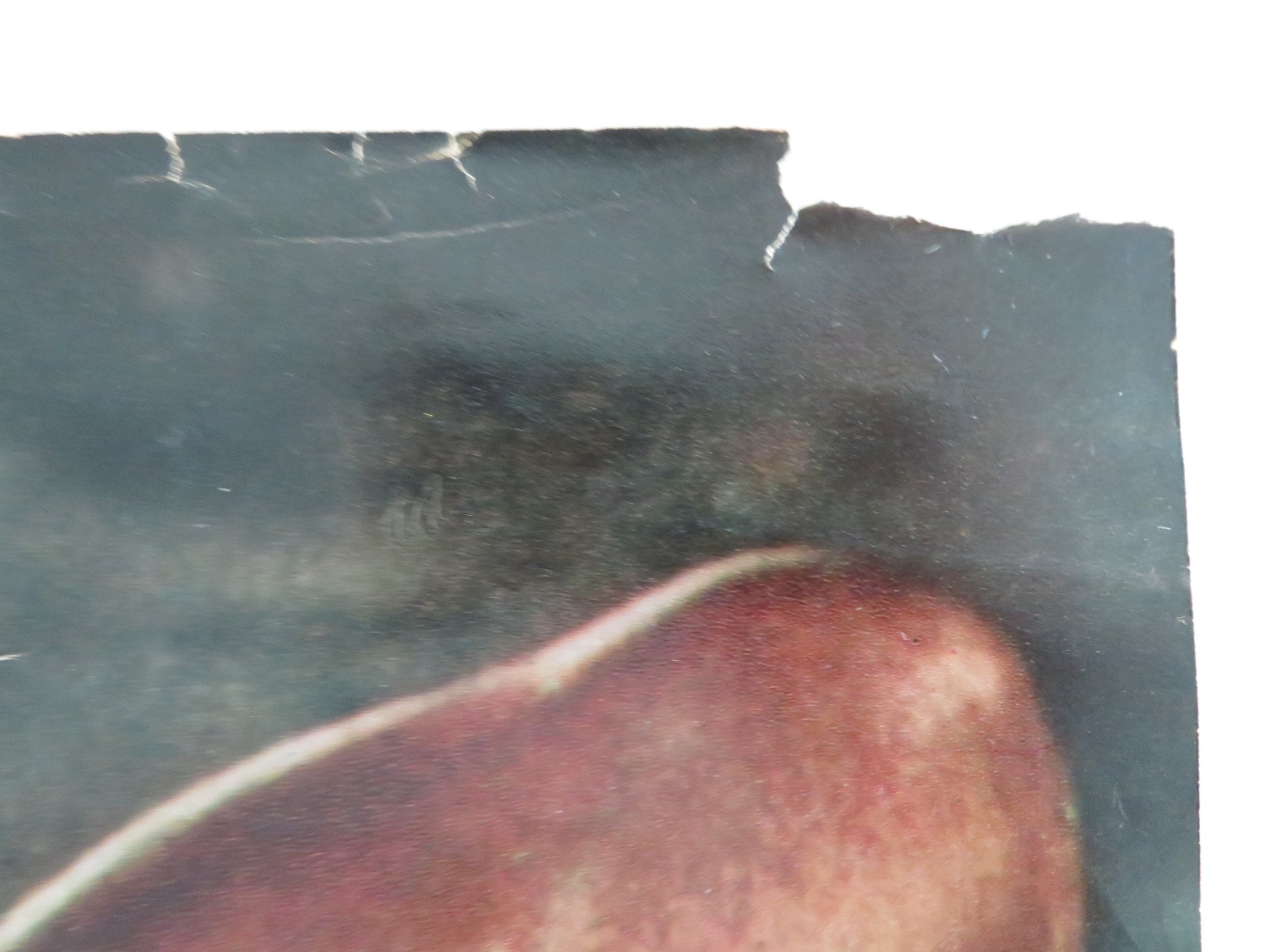 TARZAN'S THREE CHALLENGES ITALIAN FOTOBUSTA POSTER J. MAHONEY WOODY STRODE 1963 - Rendezvous Cinema