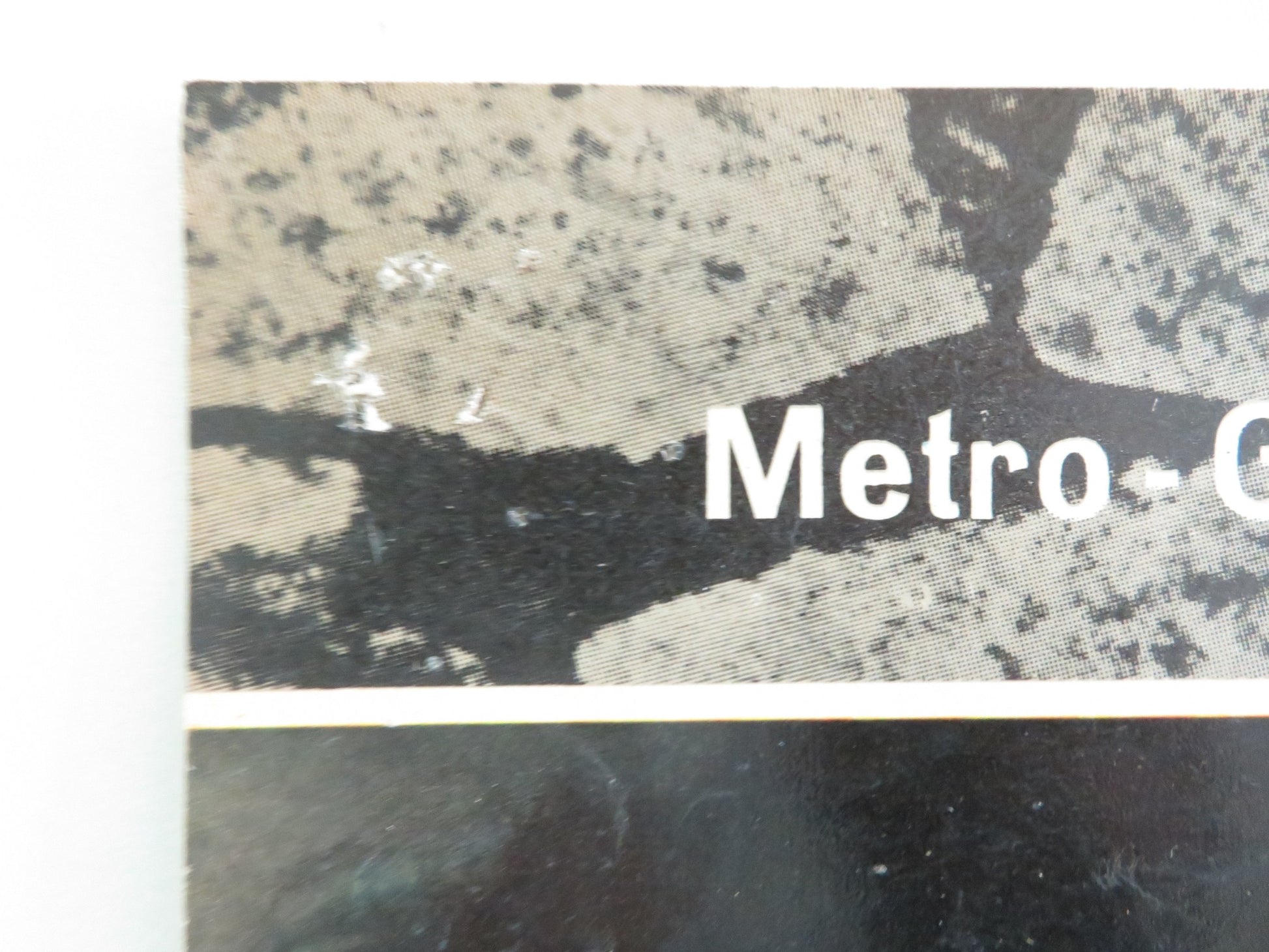 THE GREAT LEADERS - A ITALIAN FOTOBUSTA POSTER ANTON GEESINK IVO GARRANI 1965 - Rendezvous Cinema