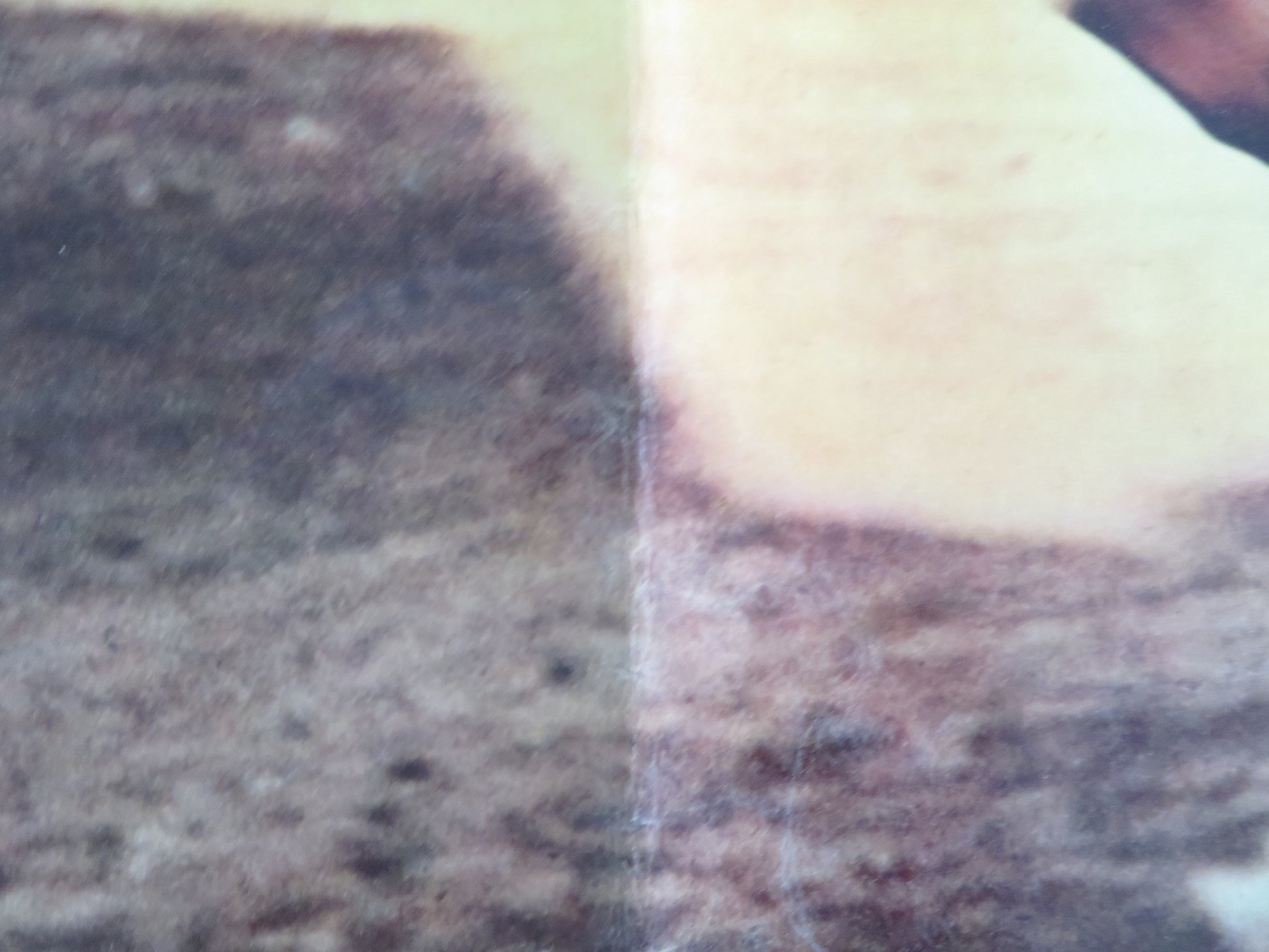 DAMON AND PYTHIAS - A ITALIAN FOTOBUSTA POSTER GUY WILLIAMS DON BURNETT 1962 - Rendezvous Cinema