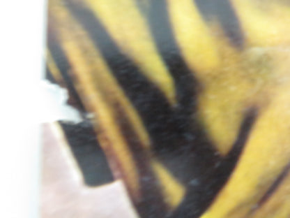 DAMON AND PYTHIAS - A ITALIAN FOTOBUSTA POSTER GUY WILLIAMS DON BURNETT 1962 - Rendezvous Cinema