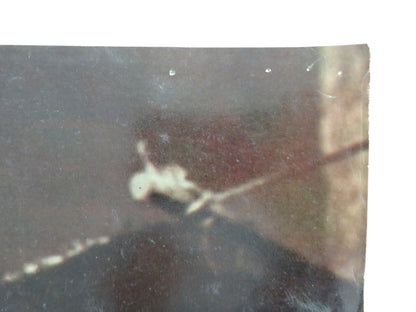 DAMON AND PYTHIAS - D ITALIAN FOTOBUSTA POSTER GUY WILLIAMS DON BURNETT 1962 - Rendezvous Cinema