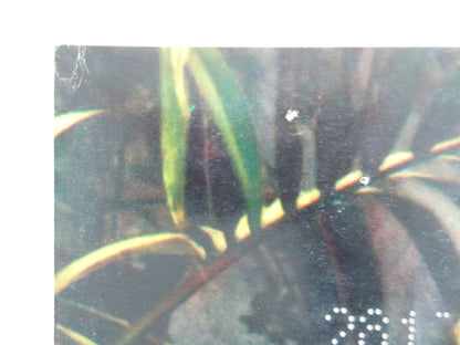 THE BOBO - D ITALIAN FOTOBUSTA POSTER PETER SELLERS BRITT EKLAND 1967 - Rendezvous Cinema