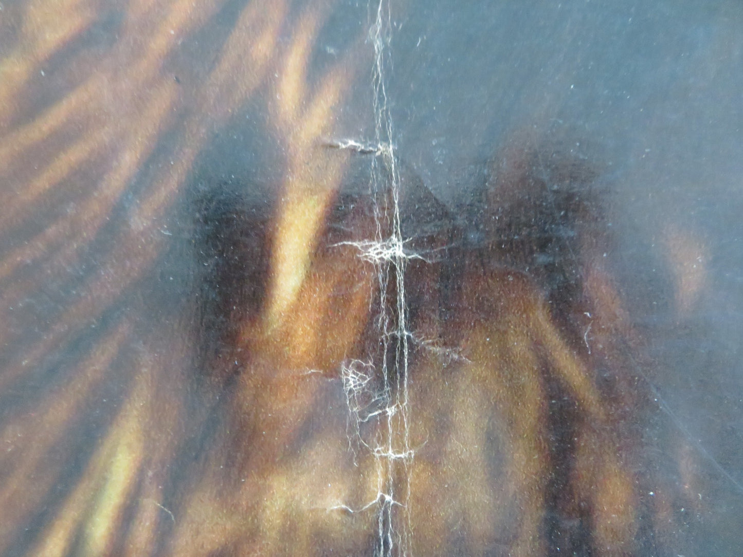 INTERLUDE - A ITALIAN FOTOBUSTA POSTER OSKAR WERNER BARBARA FERRIS 1968 - Rendezvous Cinema