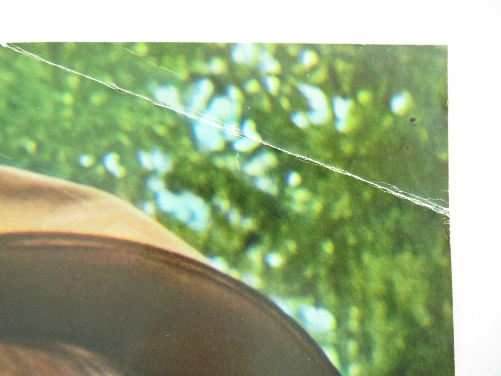 THE LAST AMERICAN HERO - A ITALIAN FOTOBUSTA POSTER JEFF BRIDGES 1973 - Rendezvous Cinema