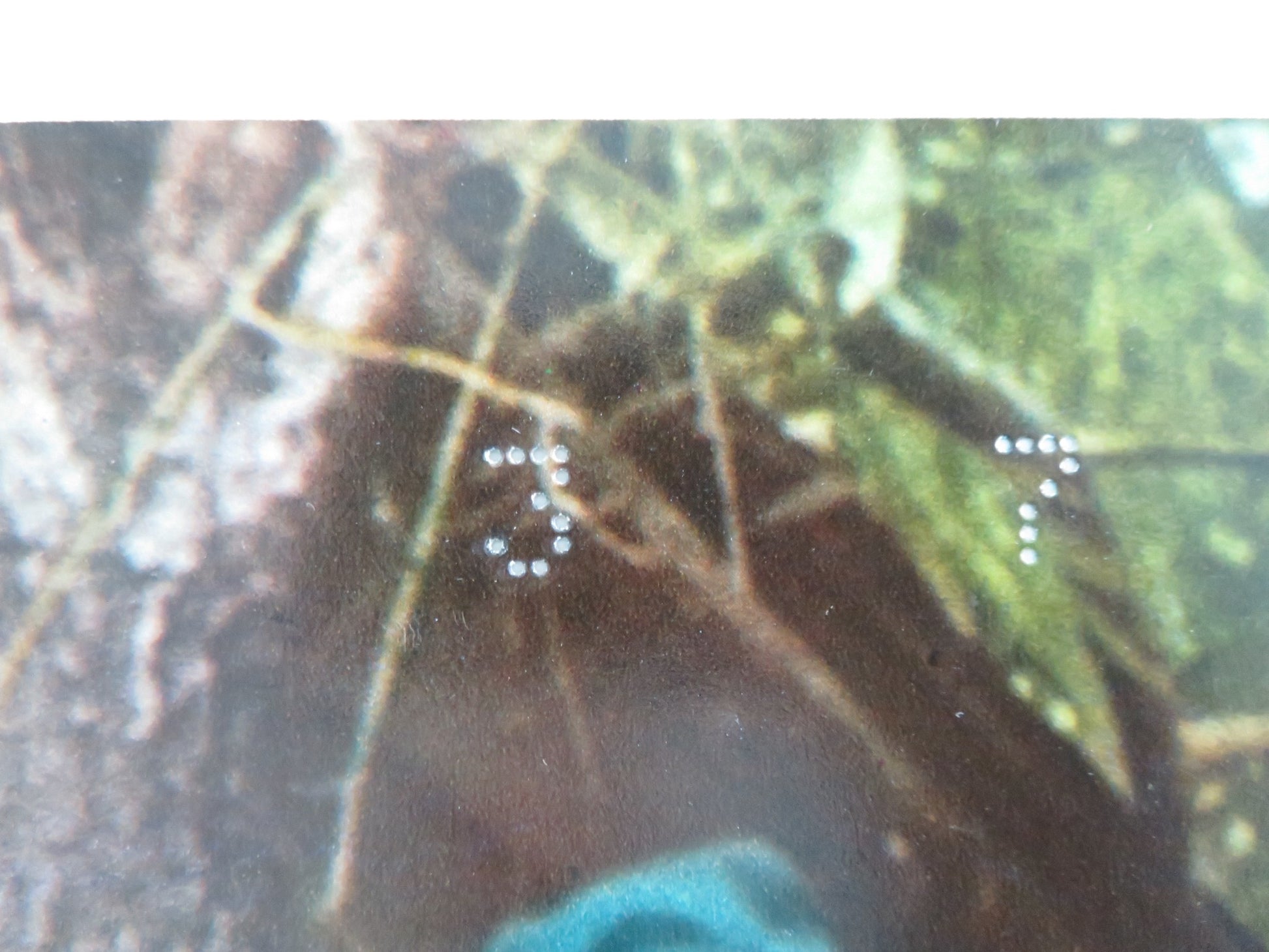 THE LAST AMERICAN HERO - A ITALIAN FOTOBUSTA POSTER JEFF BRIDGES 1973 - Rendezvous Cinema