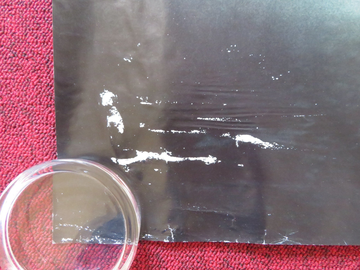 APOCALYPTO UK QUAD (30"x 40") ROLLED POSTER RUDY YOUNGBLOOD DALIA HERNANDEZ 2006 - Rendezvous Cinema