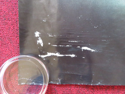 APOCALYPTO UK QUAD (30"x 40") ROLLED POSTER RUDY YOUNGBLOOD DALIA HERNANDEZ 2006 - Rendezvous Cinema