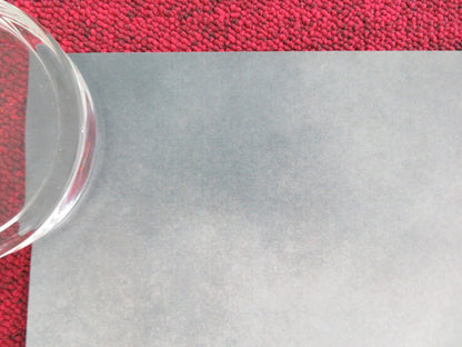 PINEAPPLE EXPRESS UK QUAD ROLLED POSTER SETH ROGEN JAMES FRANCO 2008 - Rendezvous Cinema