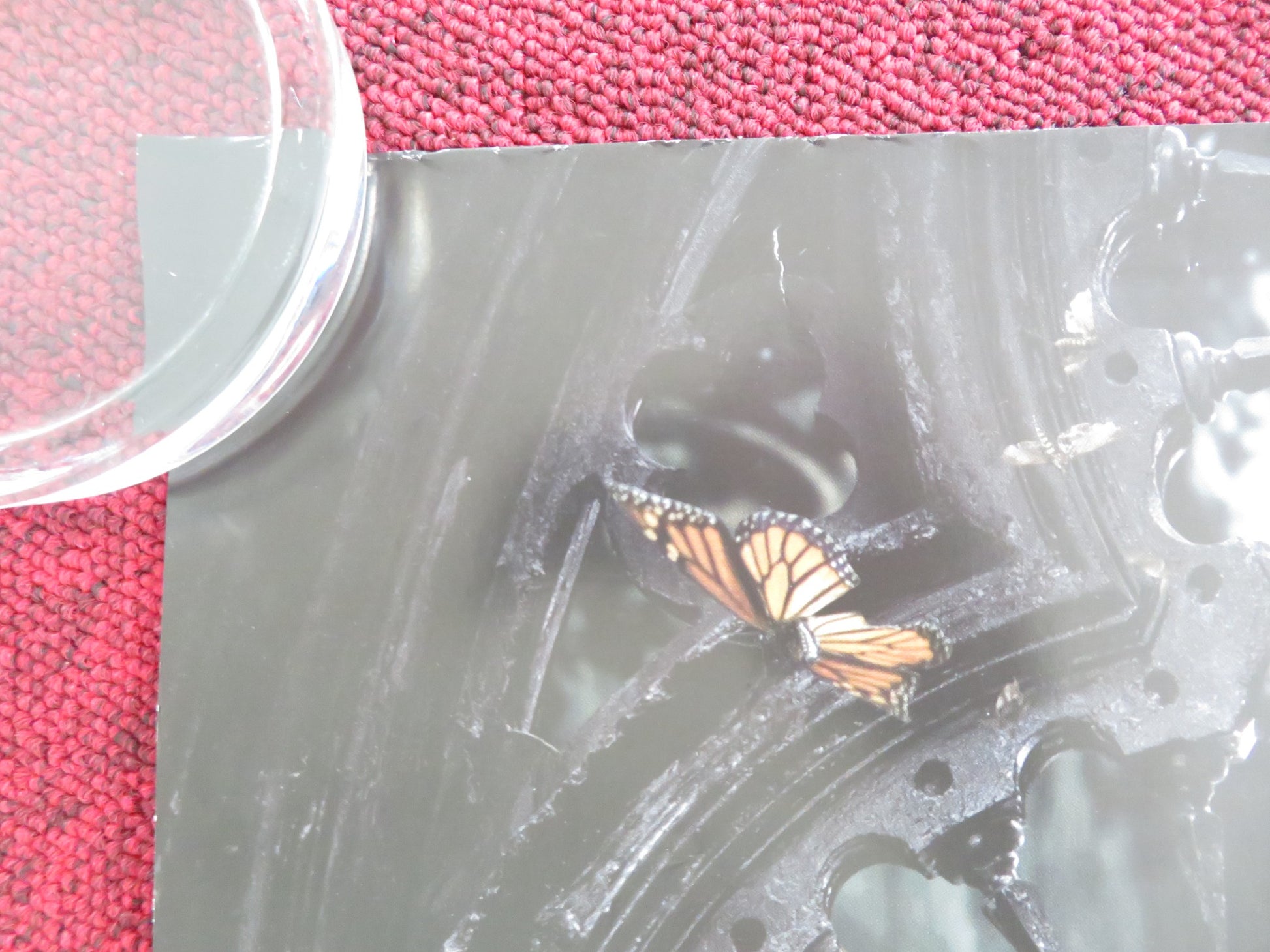 CRIMSON PEAK UK QUAD ROLLED POSTER MIA WASIKOWSKA JESSICA CHASTAIN 2015 - Rendezvous Cinema