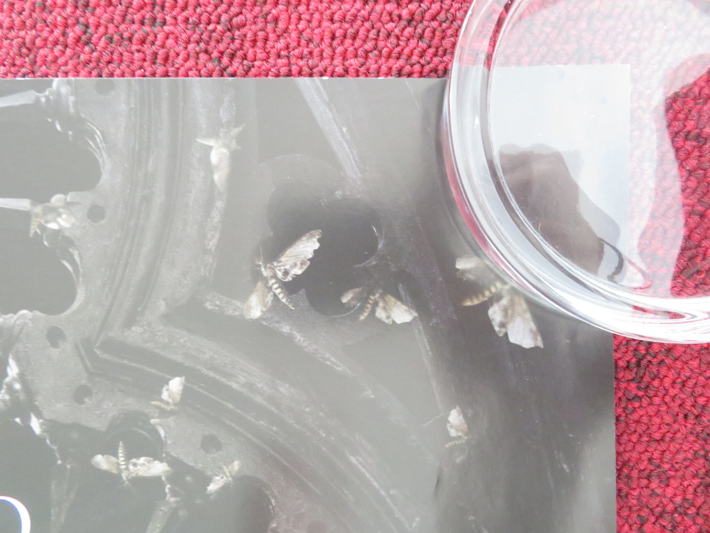 CRIMSON PEAK UK QUAD ROLLED POSTER MIA WASIKOWSKA JESSICA CHASTAIN 2015 - Rendezvous Cinema