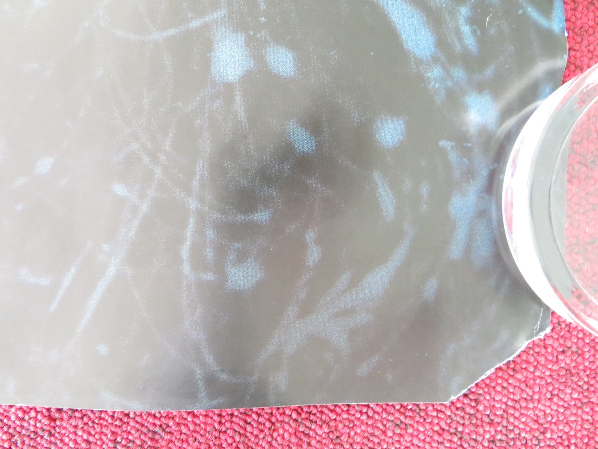 THE REVENANT UK QUAD ROLLED POSTER LEONARDO DICAPRIO TOM HARDY 2015 - Rendezvous Cinema