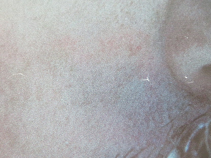 THE REVENANT UK QUAD ROLLED POSTER LEONARDO DICAPRIO TOM HARDY 2015 - Rendezvous Cinema