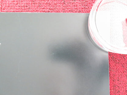 RUST AND BONE UK QUAD ROLLED POSTER MARION COTILLARD MATTHIAS SCHOENAERTS 2012