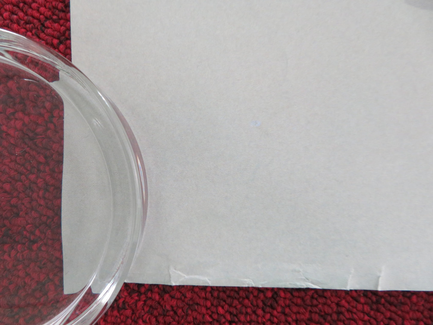 MISS SLOANE UK QUAD ROLLED POSTER JESSICA CHASTAIN JOHN LITHGOW 2016 - Rendezvous Cinema