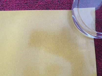 THE BRAVE ONE UK QUAD ROLLED POSTER JODIE FOSTER TERRENCE HOWARD 2007 - Rendezvous Cinema