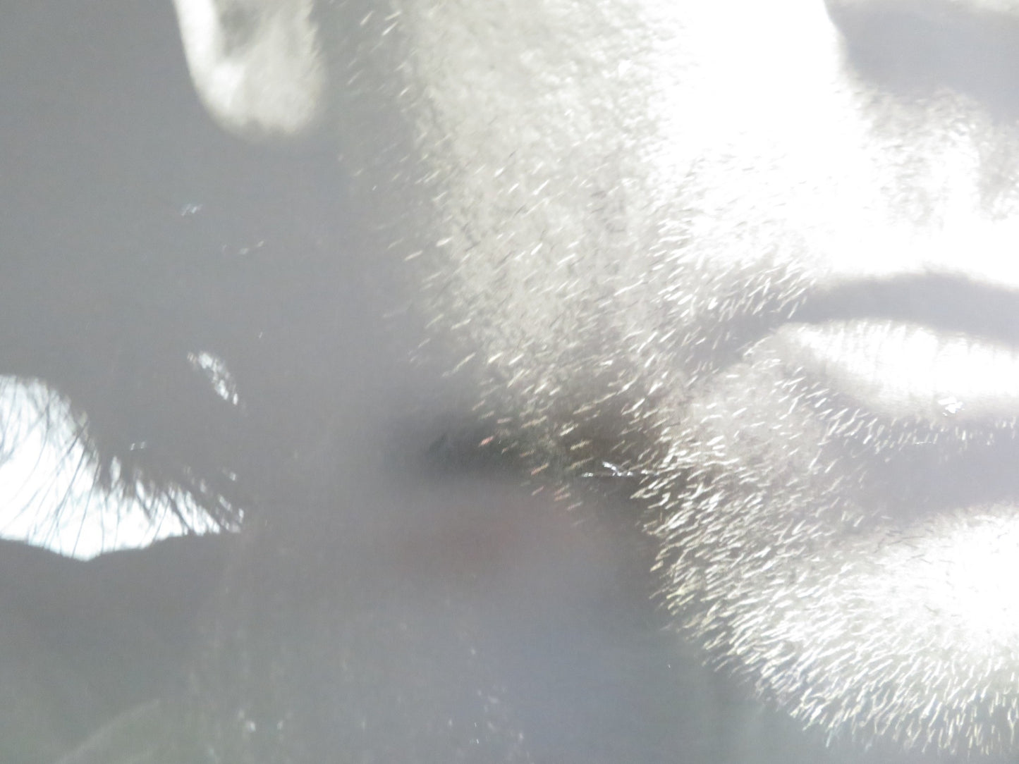 THE GIRL WITH THE DRAGON TATTOO UK QUAD ROLLED POSTER DANIEL CRAIG 2011 - Rendezvous Cinema