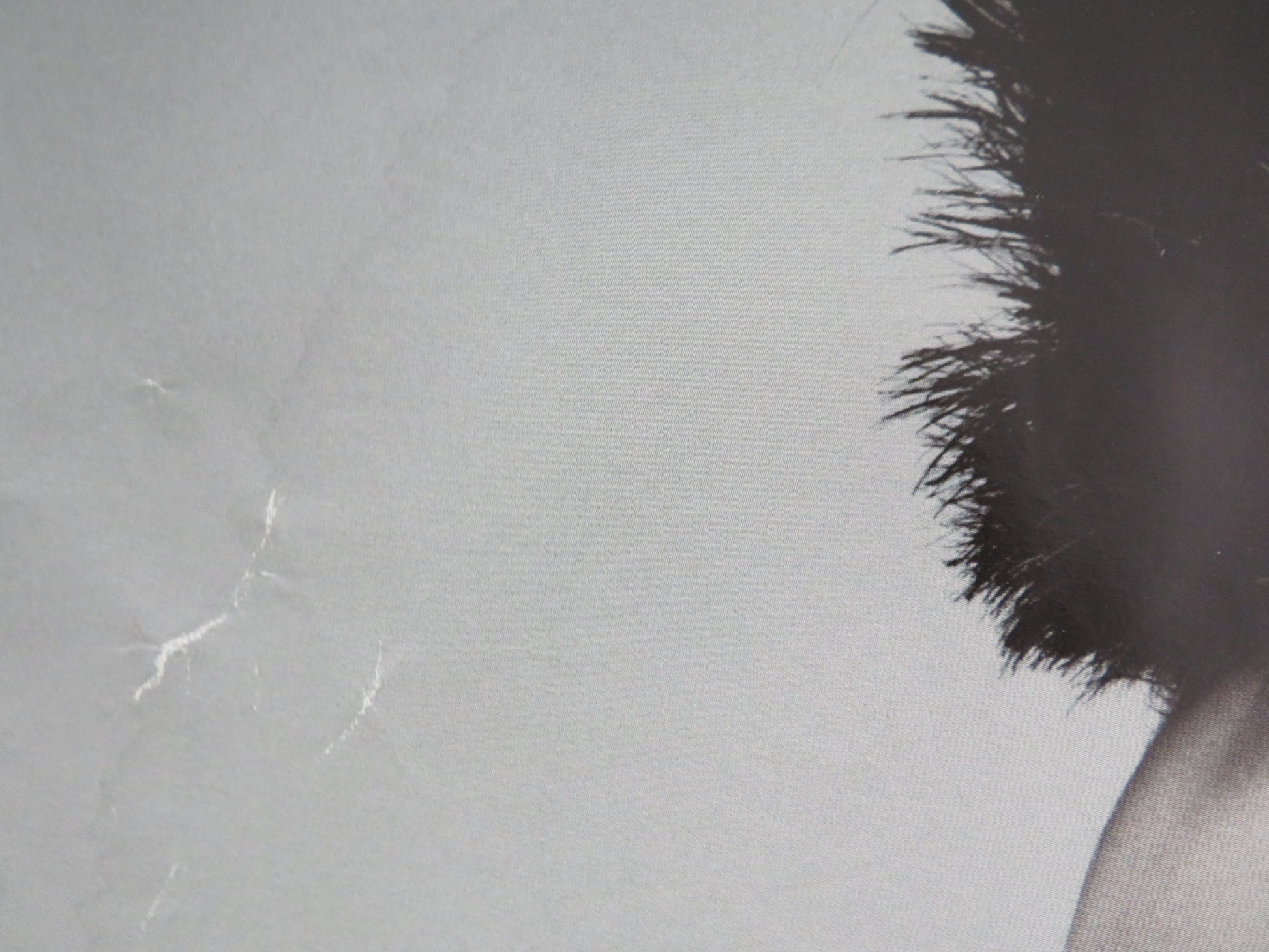 THE GIRL WITH THE DRAGON TATTOO UK QUAD ROLLED POSTER DANIEL CRAIG 2011 - Rendezvous Cinema